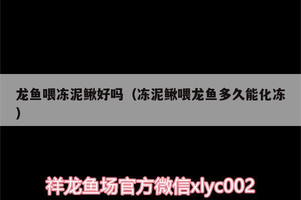 龍魚(yú)喂凍泥鰍好嗎（凍泥鰍喂龍魚(yú)多久能化凍）