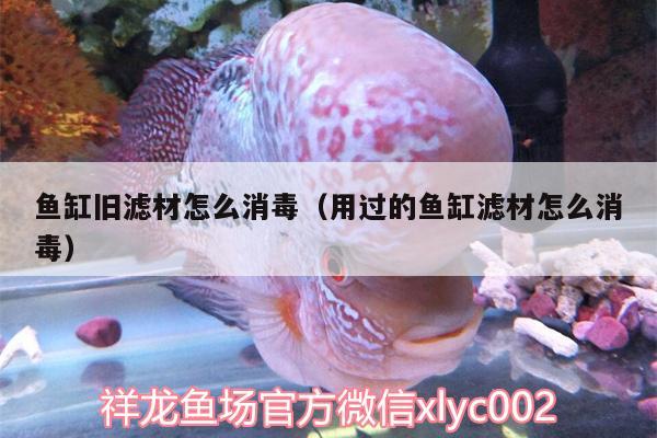 魚缸舊濾材怎么消毒（用過(guò)的魚缸濾材怎么消毒） BD魟魚