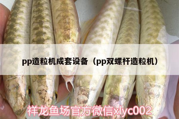 pp造粒機(jī)成套設(shè)備（pp雙螺桿造粒機(jī)） 帝王迷宮魚(yú)