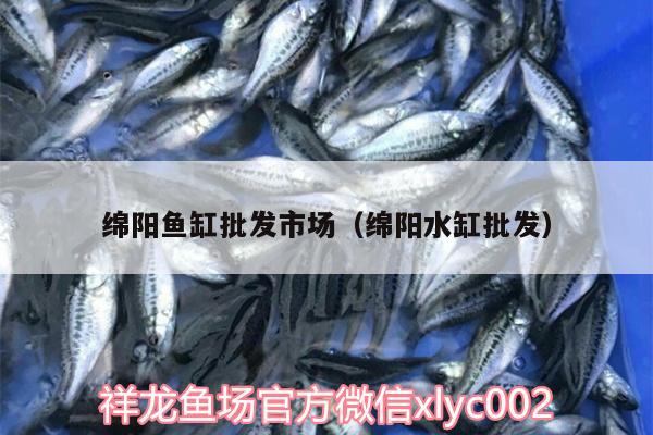 綿陽魚缸批發(fā)市場（綿陽水缸批發(fā)） 赤荔鳳冠魚