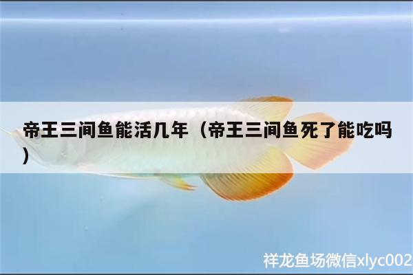 帝王三間魚能活幾年（帝王三間魚死了能吃嗎）