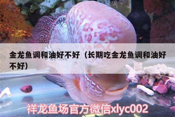 金龍魚調(diào)和油好不好（長期吃金龍魚調(diào)和油好不好）