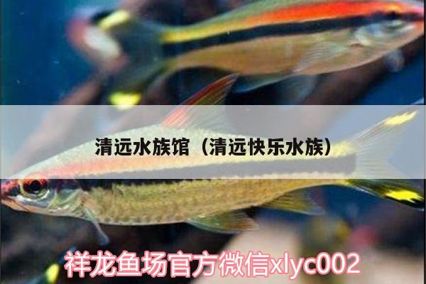 清遠水族館（清遠快樂水族）