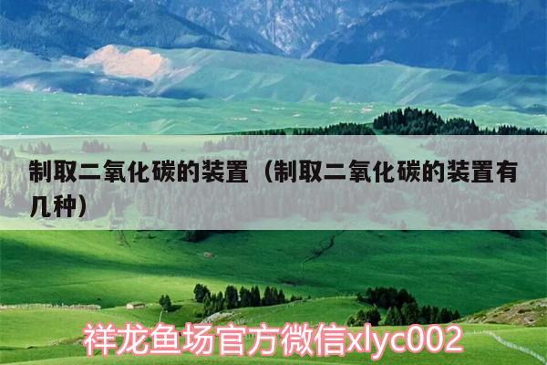 制取二氧化碳的裝置（制取二氧化碳的裝置有幾種）