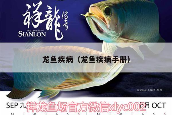 龍魚疾?。堲~疾病手冊） 龍魚疾病與治療