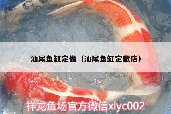 汕尾魚缸定做（汕尾魚缸定做店） 魚缸等水族設(shè)備