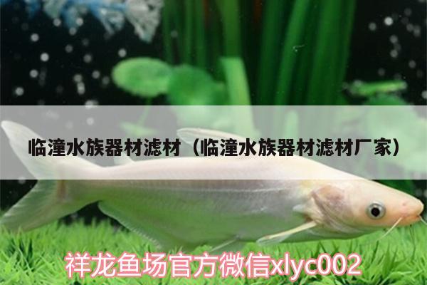 臨潼水族器材濾材（臨潼水族器材濾材廠家） 觀賞魚魚苗