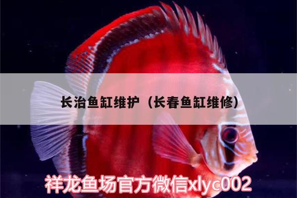 長治魚缸維護(hù)（長春魚缸維修）