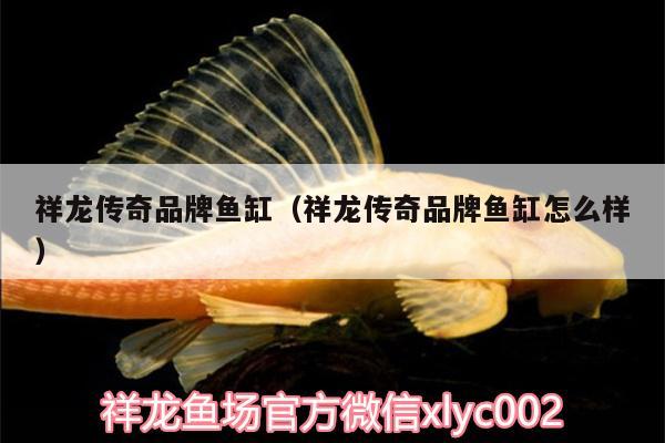 祥龍傳奇品牌魚缸（祥龍傳奇品牌魚缸怎么樣）