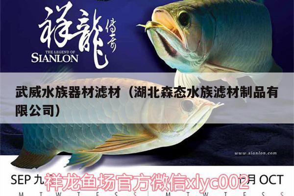 武威水族器材濾材（湖北森態(tài)水族濾材制品有限公司） 三間鼠魚