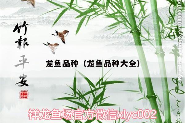 龍魚(yú)品種（龍魚(yú)品種大全）