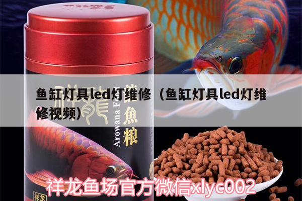 魚缸燈具led燈維修（魚缸燈具led燈維修視頻） 南美異型魚