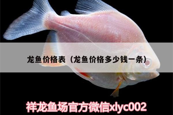 龍魚價格表（龍魚價格多少錢一條）