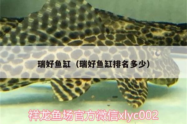 瑞好魚缸（瑞好魚缸排名多少）