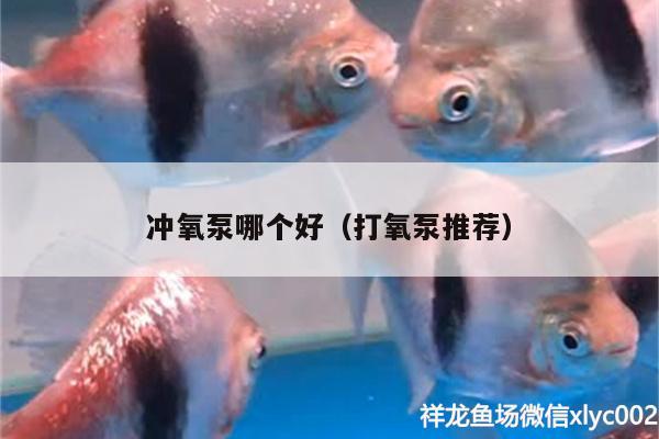 沖氧泵哪個(gè)好（打氧泵推薦）