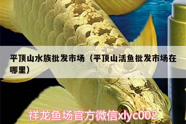 平頂山水族批發(fā)市場(chǎng)（平頂山活魚(yú)批發(fā)市場(chǎng)在哪里） 觀(guān)賞魚(yú)水族批發(fā)市場(chǎng)