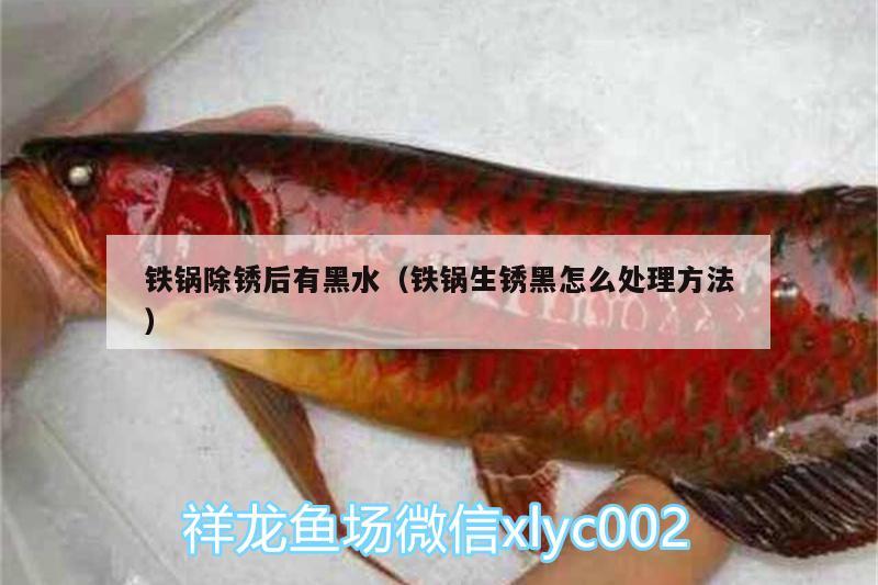 鐵鍋除銹后有黑水（鐵鍋生銹黑怎么處理方法） 粗線銀版魚苗