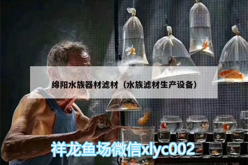 綿陽水族器材濾材（水族濾材生產設備） 黑桃A魚