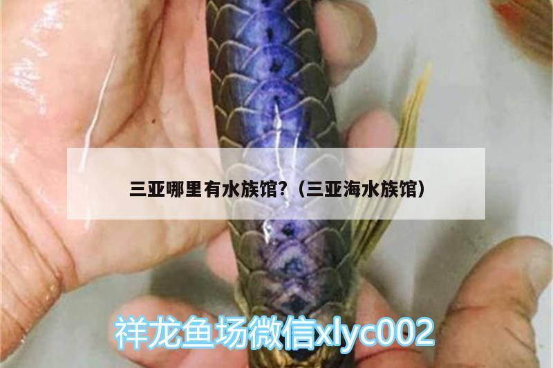 三亞哪里有水族館?（三亞海水族館） 魚缸凈水劑