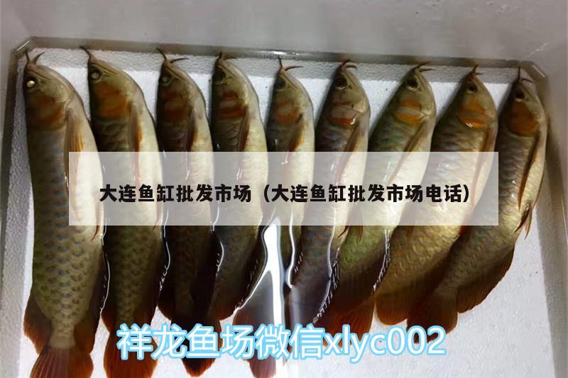 大連魚缸批發(fā)市場（大連魚缸批發(fā)市場電話）