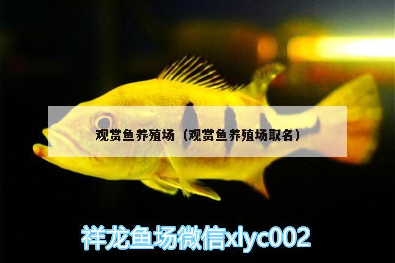 觀賞魚養(yǎng)殖場（觀賞魚養(yǎng)殖場取名）