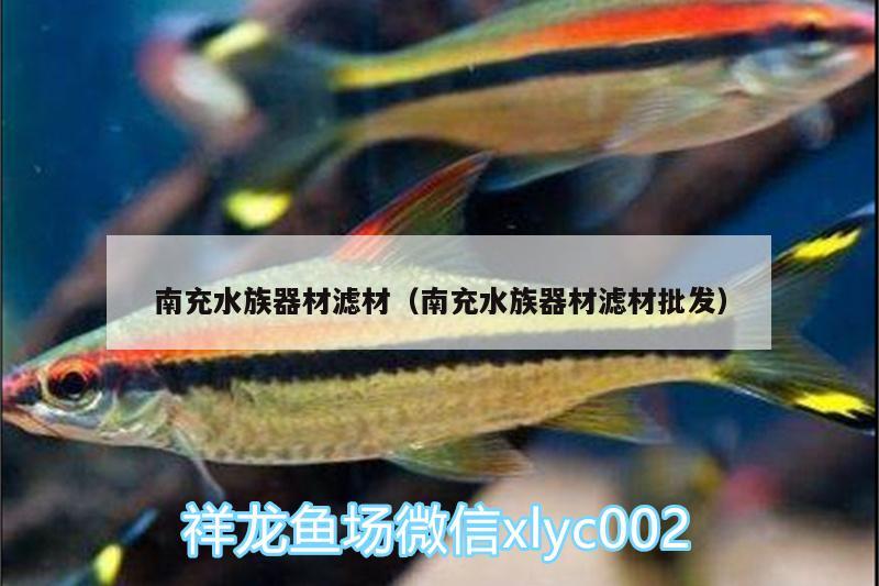 南充水族器材濾材（南充水族器材濾材批發(fā)） 古典過背金龍魚