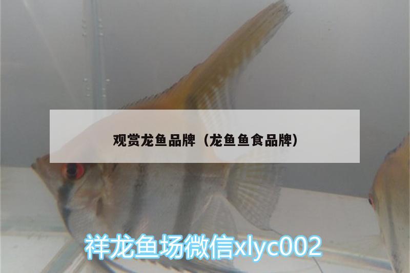 觀賞龍魚(yú)品牌（龍魚(yú)魚(yú)食品牌）