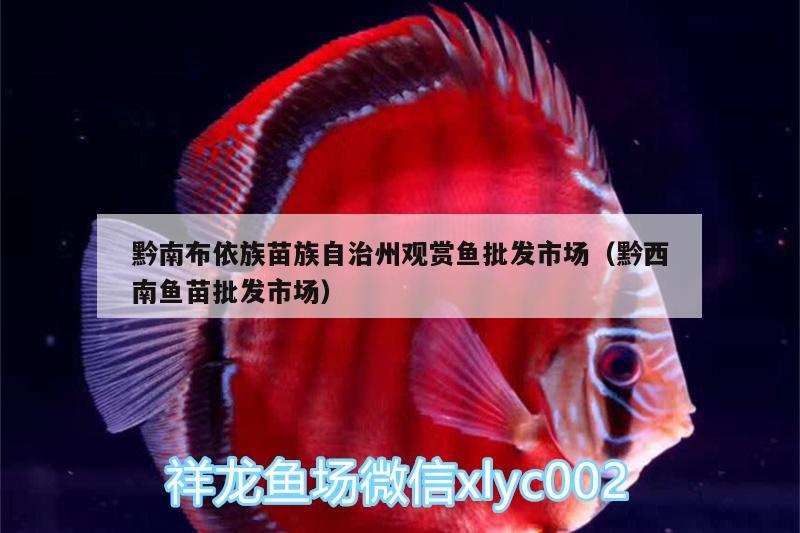 黔南布依族苗族自治州觀賞魚批發(fā)市場（黔西南魚苗批發(fā)市場） 觀賞魚批發(fā)