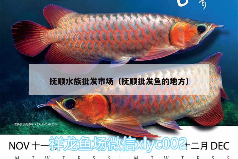 撫順?biāo)迮l(fā)市場（撫順批發(fā)魚的地方）