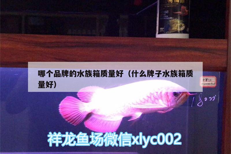 哪個(gè)品牌的水族箱質(zhì)量好（什么牌子水族箱質(zhì)量好） 魚(yú)缸/水族箱 第3張