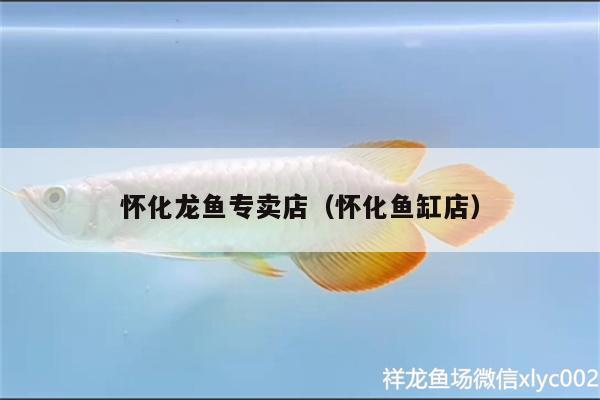 懷化龍魚專賣店（懷化魚缸店）