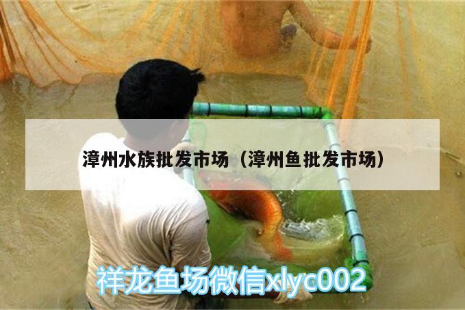 漳州水族批發(fā)市場(chǎng)（漳州魚批發(fā)市場(chǎng)）