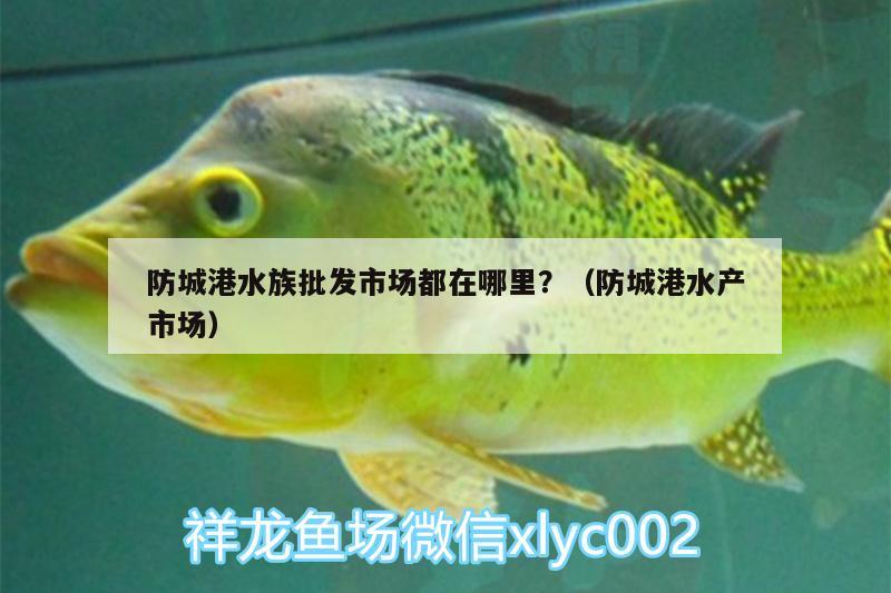 防城港水族批發(fā)市場都在哪里？（防城港水產(chǎn)市場）