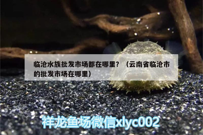 臨滄水族批發(fā)市場(chǎng)都在哪里？（云南省臨滄市的批發(fā)市場(chǎng)在哪里）