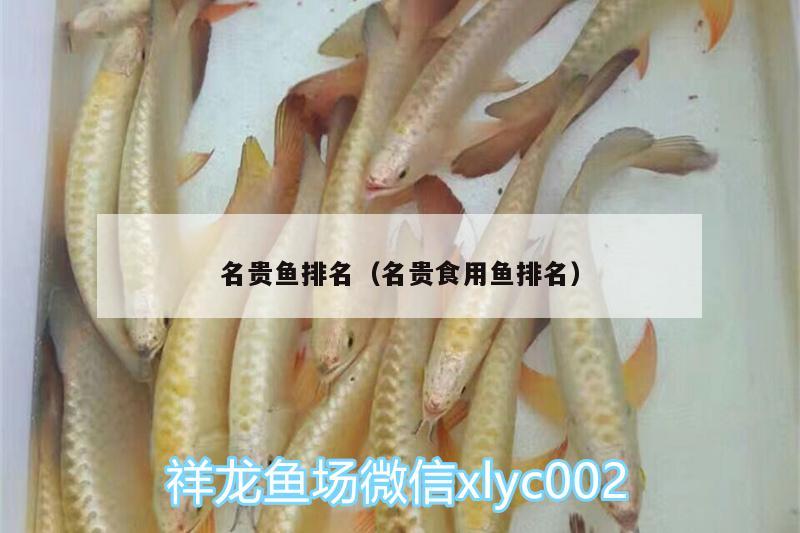 名貴魚排名（名貴食用魚排名）