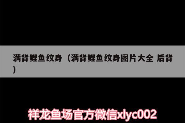 滿背鯉魚紋身（滿背鯉魚紋身圖片大全后背） 印尼小紅龍