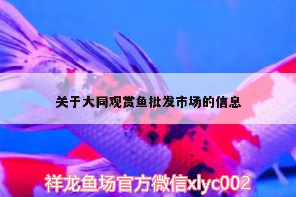 關(guān)于大同觀賞魚批發(fā)市場的信息