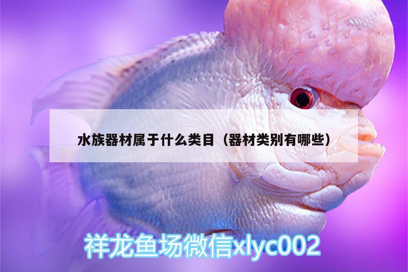 水族器材屬于什么類目（器材類別有哪些） 朱巴利魚苗