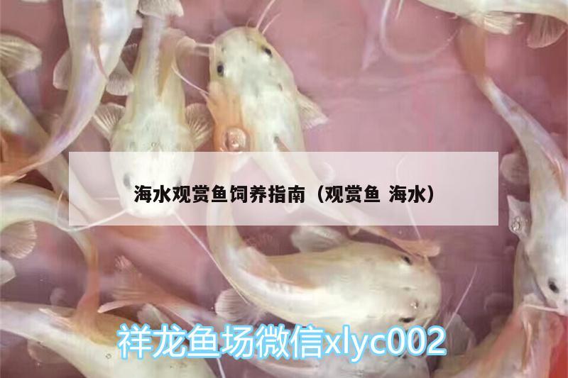 海水觀賞魚(yú)飼養(yǎng)指南（觀賞魚(yú)海水）