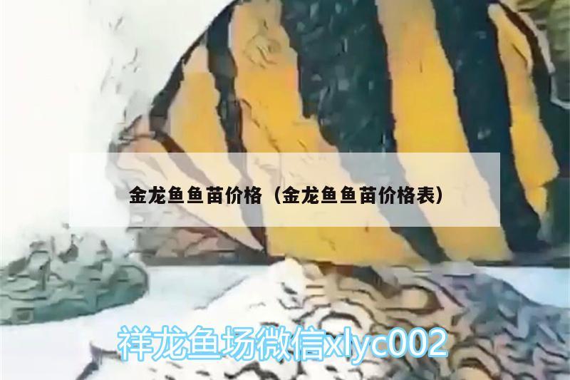 金龍魚魚苗價格（金龍魚魚苗價格表） 丹頂錦鯉魚