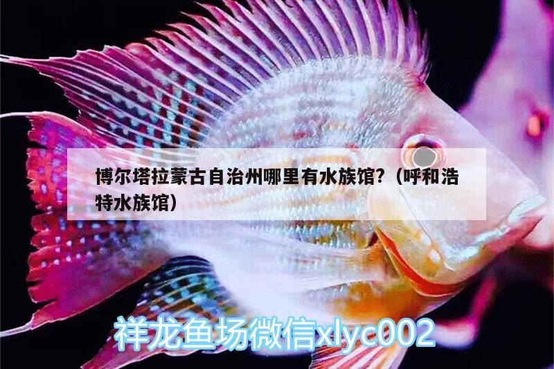 博爾塔拉蒙古自治州哪里有水族館?（呼和浩特水族館） 錦鯉魚百科