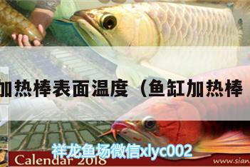 魚缸加熱棒表面溫度（魚缸加熱棒溫度） 埃及神仙魚