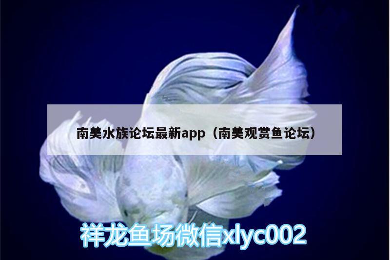 南美水族論壇最新app（南美觀賞魚論壇）