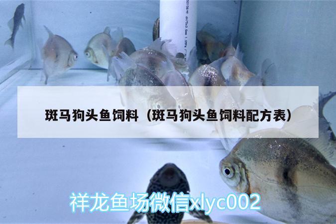 斑馬狗頭魚飼料（斑馬狗頭魚飼料配方表） 斑馬狗頭魚