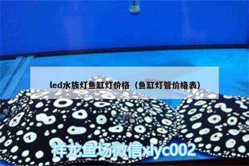 led水族燈魚缸燈價格（魚缸燈管價格表）