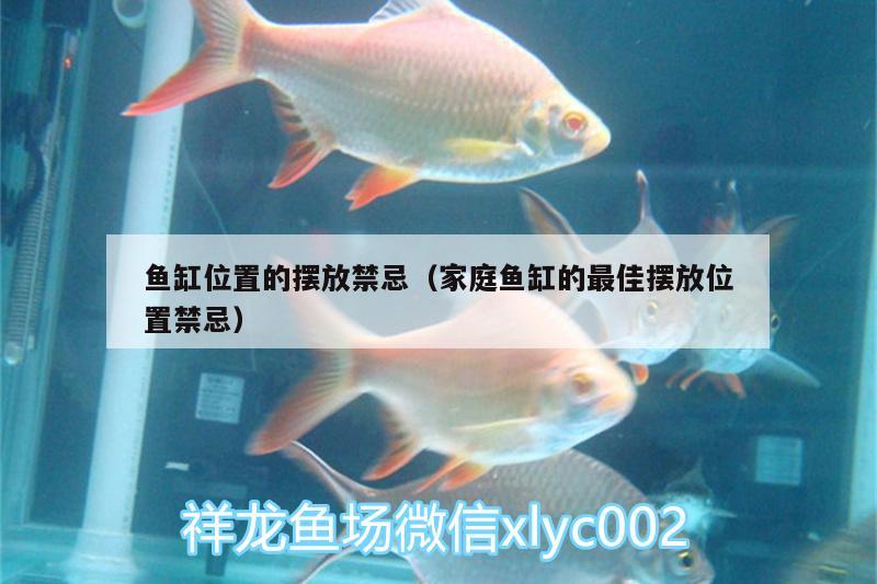 魚缸位置的擺放禁忌（家庭魚缸的最佳擺放位置禁忌） 廣州水族器材濾材批發(fā)市場