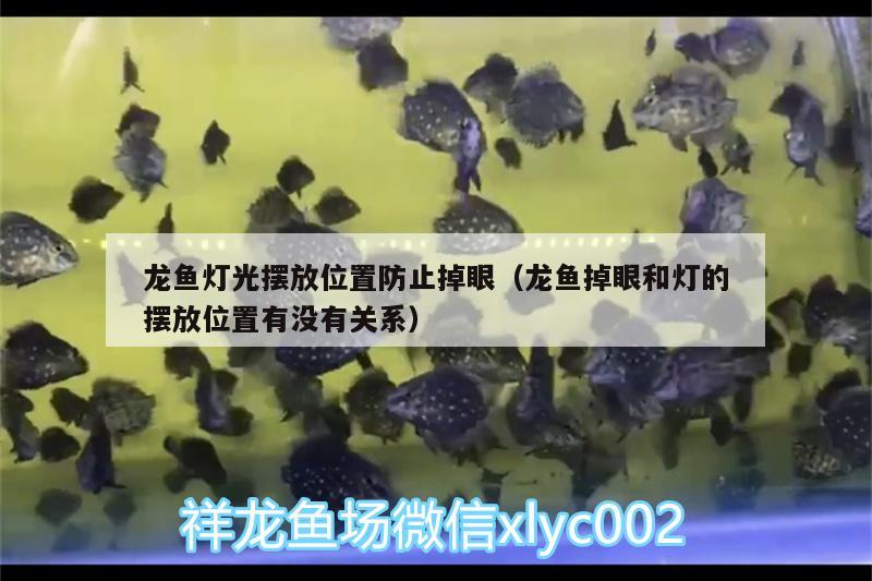 龍魚燈光擺放位置防止掉眼（龍魚掉眼和燈的擺放位置有沒有關(guān)系）