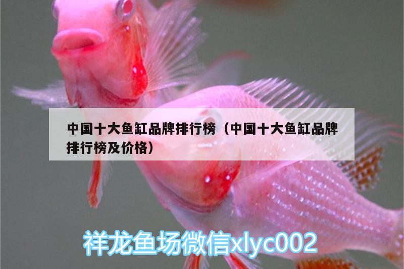 中國十大魚缸品牌排行榜（中國十大魚缸品牌排行榜及價格） 黑桃A魚苗