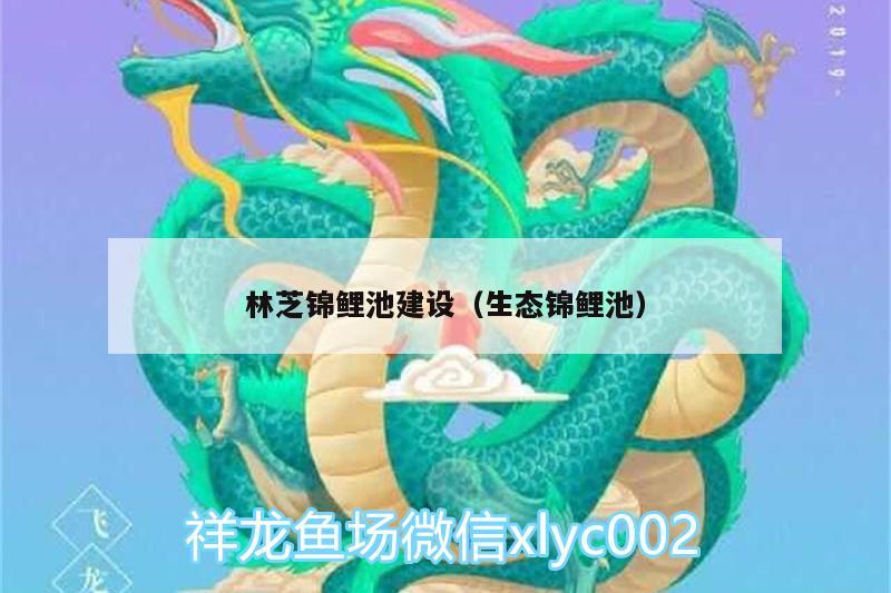 林芝錦鯉池建設(shè)（生態(tài)錦鯉池） 祥龍金禾金龍魚