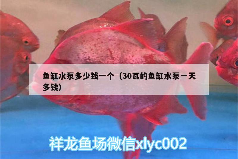 魚缸水泵多少錢一個（30瓦的魚缸水泵一天多錢） 魚缸水泵